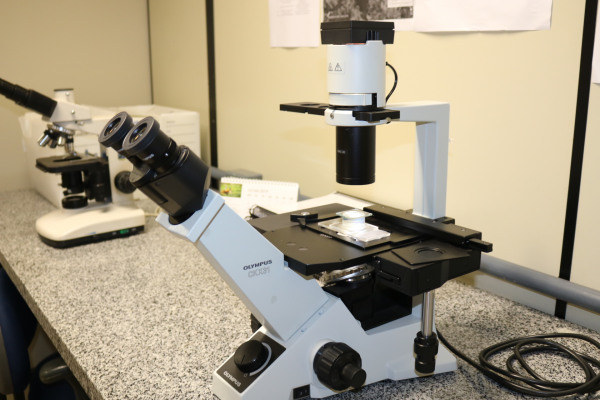 3 microscópios invertidos - Olympus CKX31